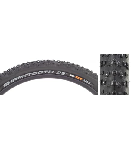 Amazon.com : Cicli Bonin Unisex's Michelin Pro 4 Endurance V2