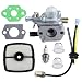 Hipa C1U-K52 Carburetor with Repower Kit for Echo GT200EZR GT2000R PAS2000 PAS2100 PE-2000 PP1200 PP800 PPF2100 PPF2110 PPSR2122 PPT2100 Power Pruner Trimmer primary