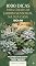 Livro 1000 Dicas para Criar um Jardim Sensorial na Sua Casa: Dica 2: Folhagens Aveludadas - Como Trazer Dinamismo Visual e Alívio do Estresse com Plantas de ... Macia (1000 dicas de um jardim sensorial)