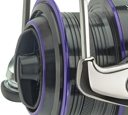 daiwa prorex 2500 ra