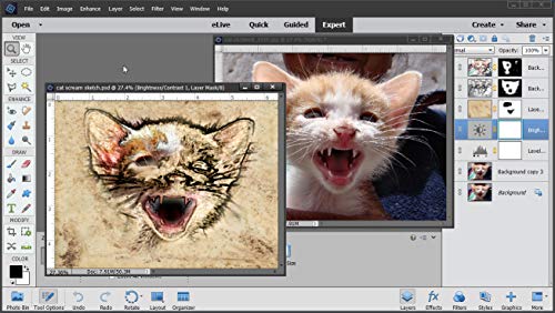 Adobe Photoshop Elements 2018 Training on 3 DVDs, Over 16 Hours in 243 Video Tutorial Lessons - Thumbnail 4