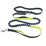 Hands Free Dog Leash，PYRUS Dual Handle Running Leash Shock Absorbing Extendible Bungee Adjustable Waist Belt For Running Walking & Jogging (Green)