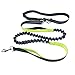 Hands Free Dog Leash，PYRUS Dual Handle Running Leash Shock Absorbing Extendible Bungee Adjustable Waist Belt For Running Walking & Jogging (Green)