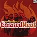 The Very Best of Canned Heat