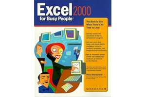 Excel 2000 for Busy People