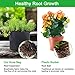 Y YOOMALL Plant Grow Bags 10-Pack 3 Gallon Fabric Aeration Pots, Thickened Non-Woven Breathable Fabric Pots for Vegetable/Flower/Plant Grow Bags with Handlesthumb 3