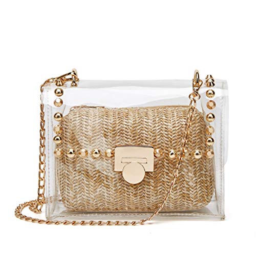 cheap clear purse