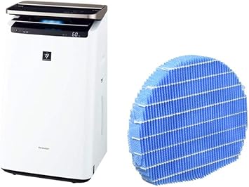 スポーツマン コショウ 価値 空気 清浄 機 プラズマ クラスター フィルター Vi Age Jp