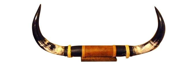 Steer Bull Cow Horn Texas Long Horn Mounted Wall Car Truck RV Hood