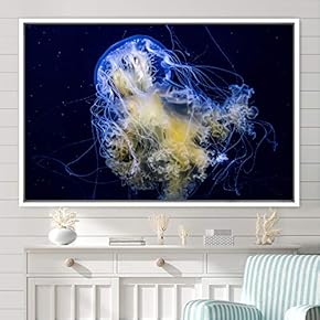 signwin Framed Canvas Wall Art Jellyfish Floating Colorful...