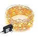 RTGS 100 LED String Lights, 32 Feet, Silver Wire, Warm White, Plug-in, Indoor-Outdoor, 5V DC Transformer