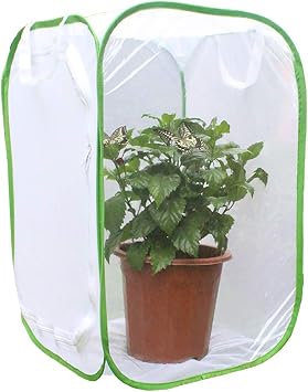 Amazon ライフ小屋 昆虫ケース 昆虫飼育箱 昆虫 かご メッシュ 蝶 爬虫類 蝶の生息地ケージ 透明 折りたたみ式 飼育箱 昆虫観察 ライフ小屋 飼育ケース アクセサリー 通販