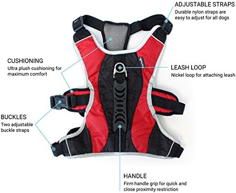 Mesh dog harness fitting comfortably around a dog's chest girth.