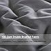 All Season Queen Goose Down Alternative Quilted Comforter with Corner Tabs - Hypoallergenic -Double Plush Fabric -Super Microfiber Fill -Machine Washable - Duvet Insert & Stand-Alone Comforter - Grey