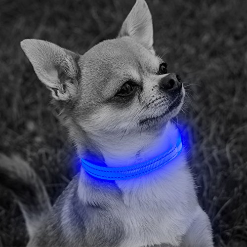 Vizbrite LED Cat Dog Collar, Nylon Pet Collar Night Safety Light UP Flashing Glow Necklace Collar for Small Breed, Puppy & Cat (XS, Blue) - Thumbnail 7