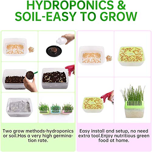 KORAM Seed Tray Kit, Seed Planting Tray for Cat Grass, Tray for Seedling Organic Pet Cat Grass Growing with Non-Slip Stickers, Natural Hairball Control Healthy Treat for Cats (Seed Not Included)