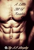 A Little Bit of Trouble: Little Bits #3