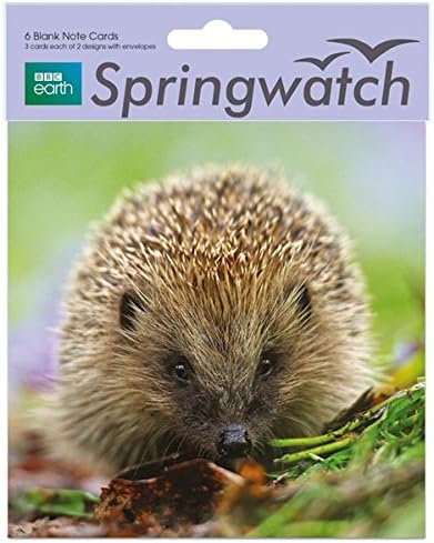 Blank Photographic Note Cards (ABA3494) - Hedgehog & Harvest Mouse - BBC Springwatch Range - Pack of 6-2 Designs