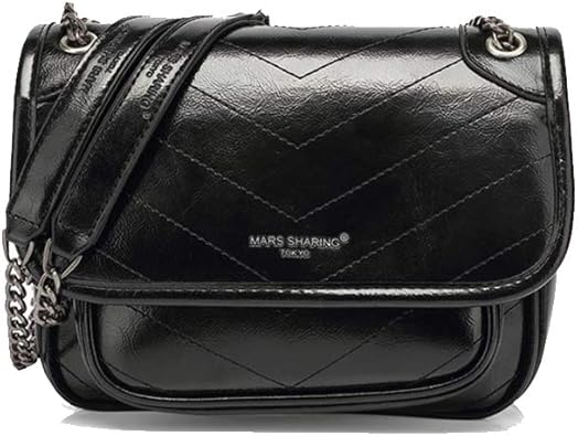 double chain strap shoulder bag