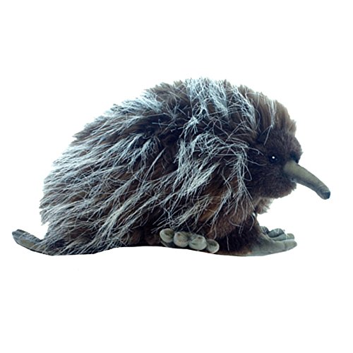 echidna plush