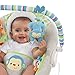 Comfort & Harmony Cradling Bouncer, Merry Monkeys