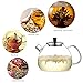 Ecooe 50 Ounce Clear Glass Teapot with 18/10 Stainless Steel Infuser Large Loose Leaf Teapot Tea Infuser Teapot Glass Tea Kettle