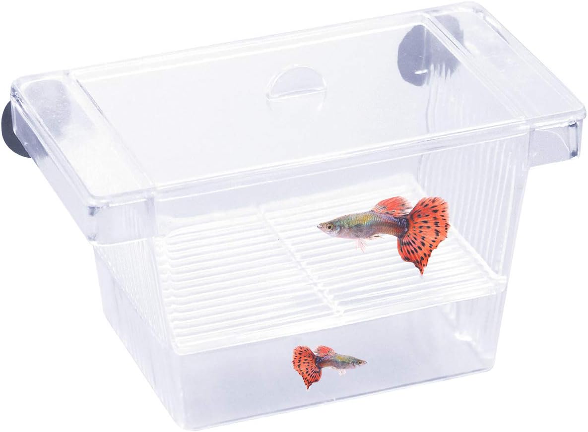 Caja de Cría de Peces, Incubadora de Acuario, Tanque de Peces, Criadero de Peces Flotantes con Ventosa para Acuario Flotante con Separador Hatchery y Caja de Crianza