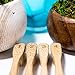Premium Natural Bamboo Toothbrush - Eco Friendly and Biodegradable Toothbrushes w/Soft Bamboo Fiber and BPA Free Nylon Bristles - Organic Dental Care For Men and Women - 4 Pack by Ecoture