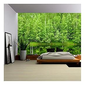 Boreal Forest Reflected in River Natural Background - Removable Wall Mural | Self-Adhesive Large Wallpaper - 66x96 inches