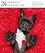 Dog Page-A-Day Gallery Calendar 2019