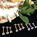 BodyJ4You 3PC Labret Stud Tragus Earring Set 16G Goldtone Steel Crystal Helix Lip Monroe Cartilage