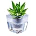 Water Herb Garden, AIBSI Hydroponics Growing System, Organic Self Watering Planter Indoor Sprouts Gardening Starter Kit Aquaponics Small Fish Tank, Best Gift Set for Women and Kid, Seeds Not Included