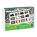 Educational Insights Metamorphic Rock Collection, Ages 8 and up, Set of 12 Handpicked Specimens in a Storage Tray