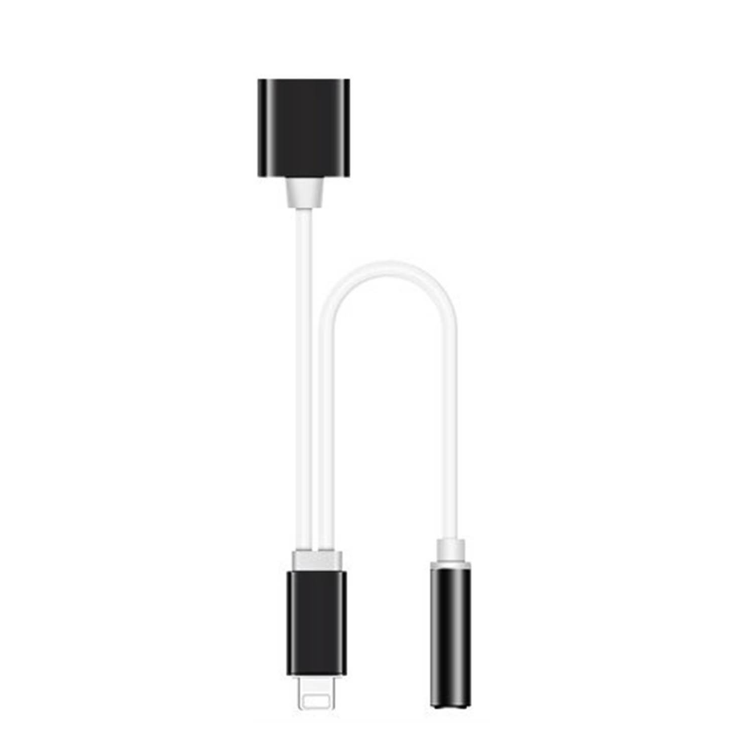 Hello22 3.5mm Audio and Charging Jack 2 in 1 Cable Adapter for iPhone