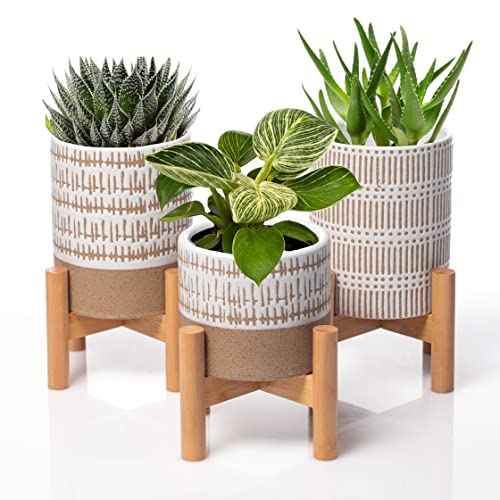 Kurrajong Farmhouse Set of 3 Mini Indoor Plant Stands with pots 3 mid