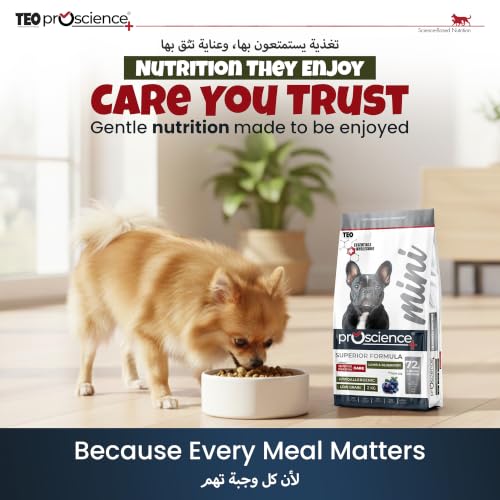 Teo Premium Proscience Mini Sterilised Dog Food 2KG Lamb & Blueberry, 72% Animal Protein, Hypoallergenic Low-Grain Recipe with Omega 3 & 6, Glucosamine, Chondroitin & Fish Oil, 28% Protein 12% Fat
