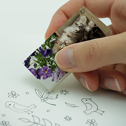 Ragdoll Tiffany Kitten Cat Flower Pots Eraser Set of 2