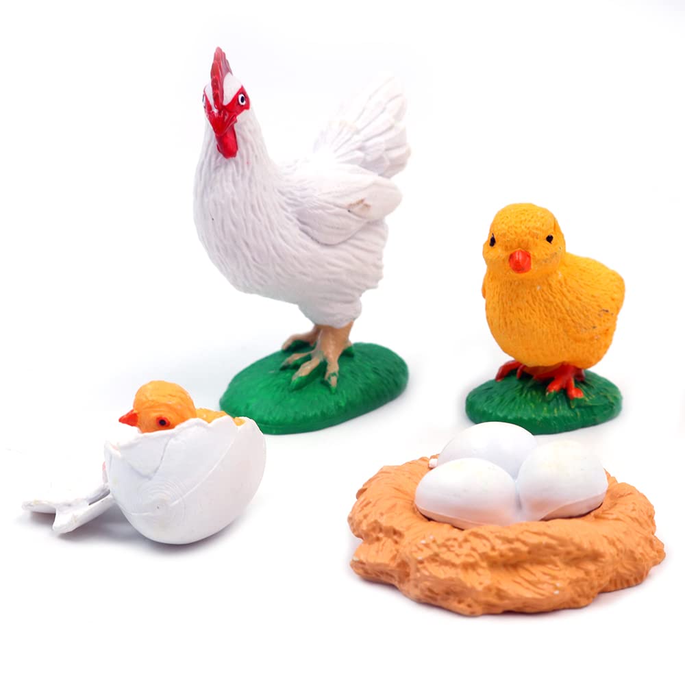 WANGCL Chick Life Cycle, Highly Simulation Animal Life Cycle 4 Part Animal Learning Model Educational Toys for Toddlers