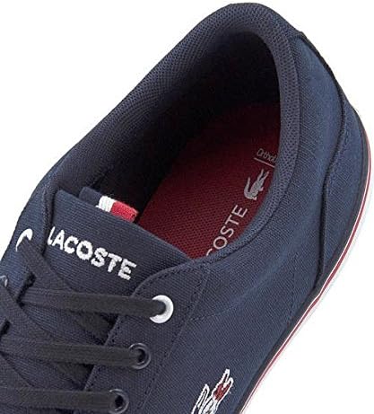 lacoste converse shoes