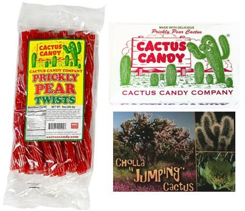 Cactus Candy Company Prickly Pear Licorice Twists & Arizona Prickly Pear Cactus Candy Bundle with Bonus Postcard