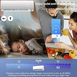 Pasapair 12000 BTU 115V WIFI Enabled 20 SEER2 Cools