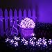 Qedertek Solar String Lights, Cherry Blossom 22ft 50 LED Waterproof Flower Outdoor String Lights for Patio,Lawn,Garden,Holiday,Halloween Solar Lights,and Festivals Decorations (Purple)
