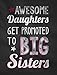 Tstars Awesome Daughters Get Promoted to Big Sister Baby Announcement Girls Shirt Pink Medium