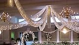 Spring Rose Christmas Wedding Decoration Light Set, 24 Feet Long, 100 Clear Bulbs with White Cord