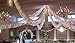 SPRINGROSE Christmas Wedding Decoration Light Set, 24 Feet Long, 100 Clear Bulbs with White Cord