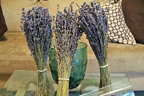 1 Lavender Bundle, Lavender bunch, Wedding Flower Decor, French Lavender Flowers, Dried Floral, Fragrant Lavender, Spring Flowers,Summer