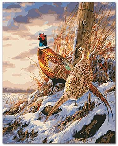 Painting By Numbers Field Pheasant Diy Acrylic Paint By Numbers Handpainted Oil Painting On Canvas For Home Decor Amazon Co Uk Kitchen Home