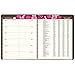 AT-A-GLANCE Monthly Planner / Appointment Book 2017, 8-1/2 x 11