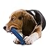 Nylabone Textured Dental Bone Flexi Chew Toy for Dogs, Dog Toys for Moderate Chewers, Chicken Flavor, Medium - Up to 35 lbs, 1 Count