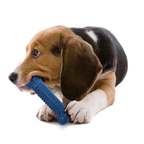 Nylabone Moderate Chew FlexiChew Dental Chew Toy, Medium